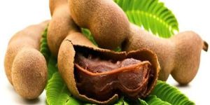 Tamarind
