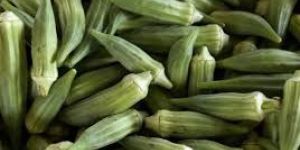 Okra