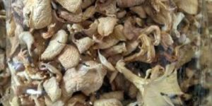 Dry Organic Oyster Mushroom