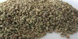 Ajwain