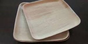 Areca Leaf Square Plates