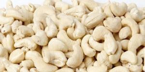 Organic Cashew Nuts