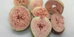 Freeze Dried Fig