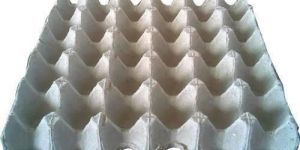 White Disposable Paper Pulp Egg Tray