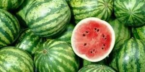 Fresh Watermelon