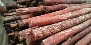 Natural Red Sandalwood