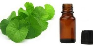 Brahmi Extract