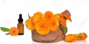 Calendula Essential Oil