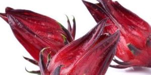 Hibiscus Seed Oil