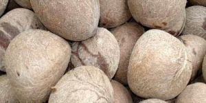 Coconut Copra