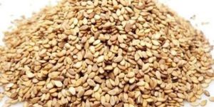 Organic Whole Sesame Seeds