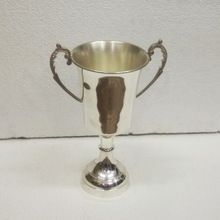 Silver Trophy