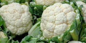 Fresh Cauliflower