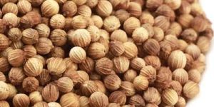 Brown Coriander Seeds