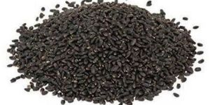 Sabja Seeds