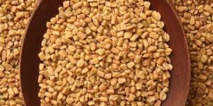 Fenugreek Seeds