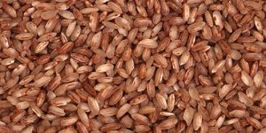 Raw Brown Rice