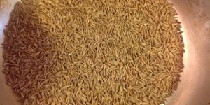 Cumin Seed European
