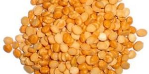 High Quality Chana Dal