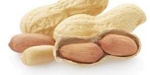 Organic Peanuts