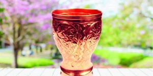 Copper Embossed Juice Glasses