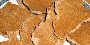 High Protein Maize Oil Cake