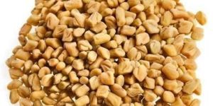 Natural Fenugreek Seeds