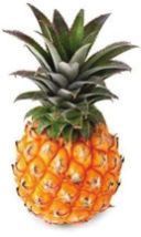 Fresh Baby Pineapple