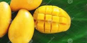 Mango Ripe