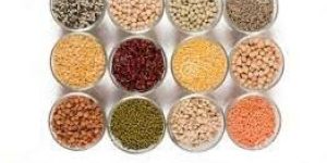 Pulses