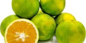 Sweet Lime
