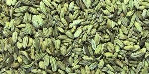 Green Fennel Seeds