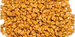 Organic Fenugreek Seeds