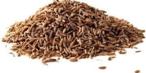 Raw Cumin Seeds