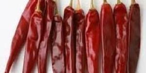 Super S10 Dry Red Chilli