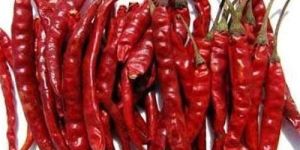 Teja Dry Red Chilli
