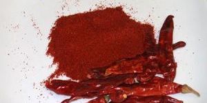 Teja Dry Red Chilli Powder