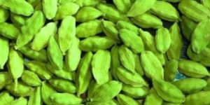 Green Cardamom