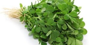 Fresh Fenugreek Leaves