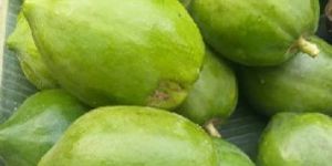 Fresh Green Papaya