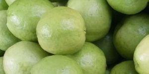 Fresh Guava