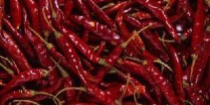 Dried Dark Red Chilli