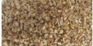 Hybrid Coriander Seeds