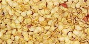 Hybrid Capsicum Seeds