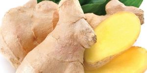 Organic Ginger