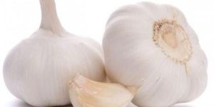 White Garlic