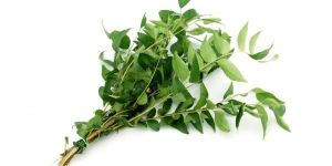 Organic Curry Leaves