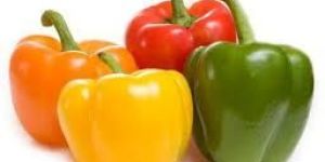 Fresh Natural Capsicum