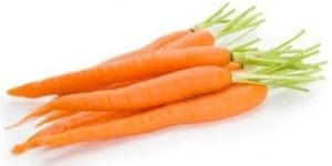 Fresh Natural Carrot