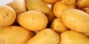 Fresh Natural Potato
